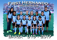 First Hernando Youth Soccer & Hernando Heat 2017 2 of 2