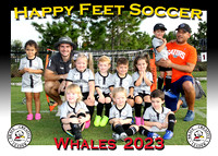Happy Feet Starkey September 2023