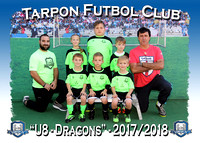 Tarpon Futbol Club / Liverpool FC 2017-2018
