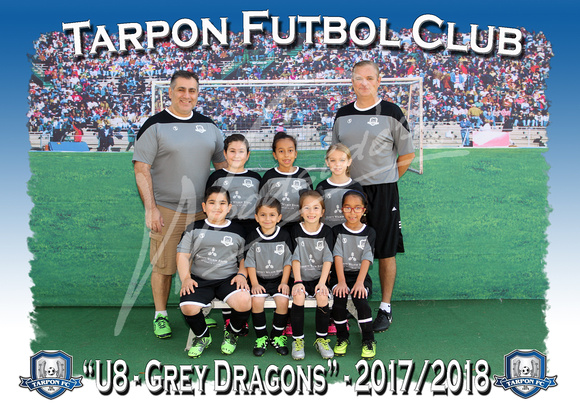 106- U8 Grey Dragons