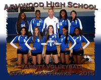 Armwood HS Volleyball 2104-15