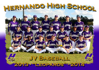 Hernando High School Baseball 2013-14