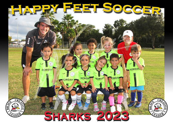 104- 3-4 Sharks