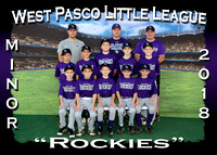 West Pasco Little League Spring Ball 2018
