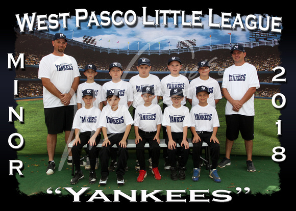 115- Minor Yankees