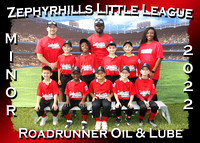 Zephyrhills Little League Spring 2022