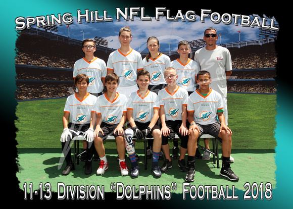 113- 11-13 Division Dolphins