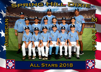Spring Hill Dixie Baseball All Stars 2018