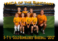 Gill's YMCA Baseball 8-18-2012