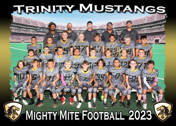 102- Mighty Mite FB