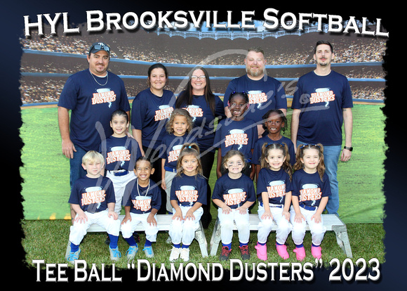 104- Tee Ball Diamond Dusters