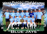 West Pasco Little League Fall 2023