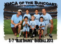 Gill's YMCA Baseball 8-24-2013