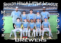 Shady Hills Little League Fall 2023
