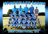 Wiregrass Lions Football 2018