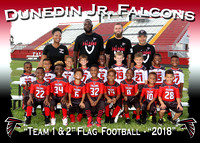 Dunedin Jr. Falcons Football 2018