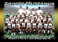 Trinity Mustangs Football 2018