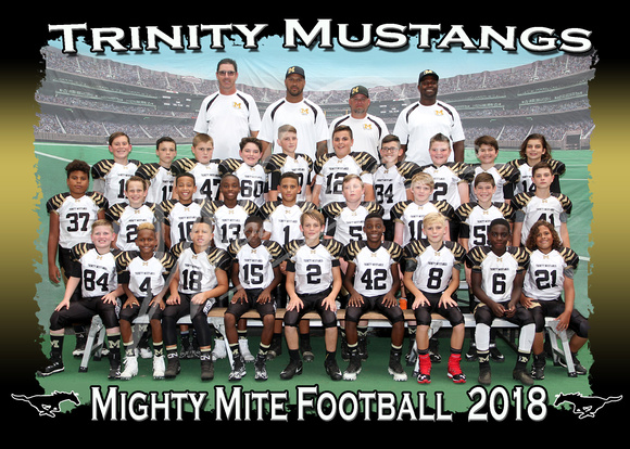 101- Mighty Mite FB