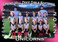 Spring Hill Dixie Girls Softball Spring 2022