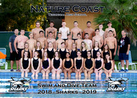 Nature Coast High Swim