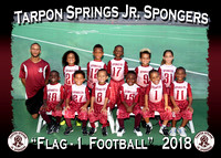 Tarpon Jr. Spongers Football 2018