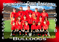Spring Hill Dixie Baseball Fall 2018