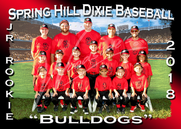 201- Jr Rookie Bulldogs