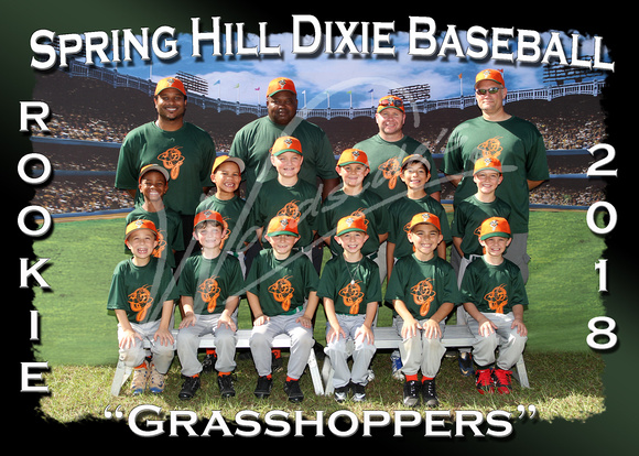 206- Rookie Grasshoppers