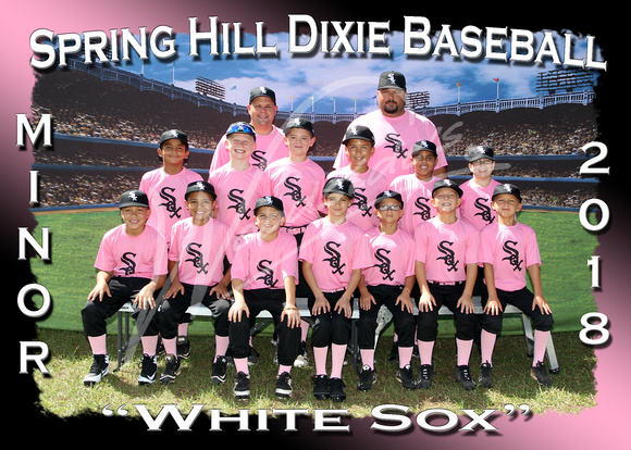 211- Minor White Sox