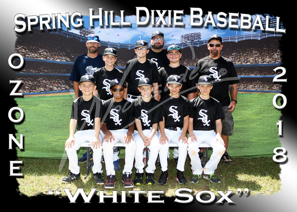214- Ozone White Sox