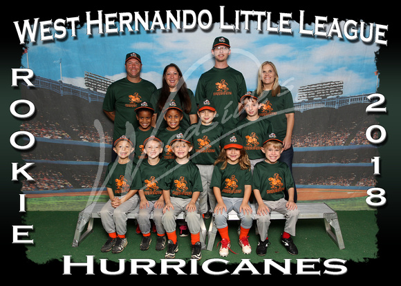 103- Rookie Hurricanes