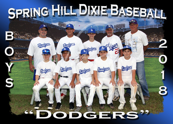 223- Boys Dodgers