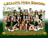 Lecanto HS Cheerleaders 2014-2015