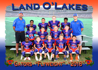 Land O' Lakes Gators Football 2018