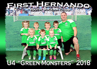 First Hernando Youth Soccer & Hernando Heat 2018