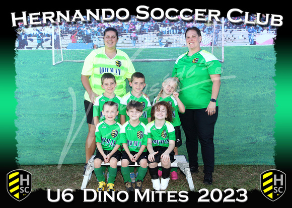 108- U6  Dino Mites