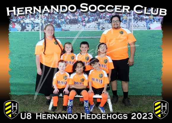 121- U8  Hernando Hedgehogs