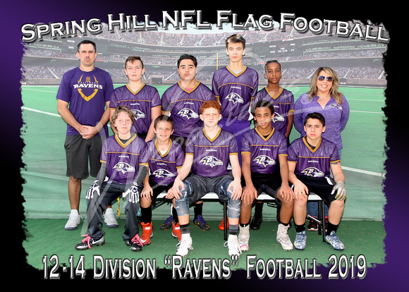 118- 12 -14  Division Ravens