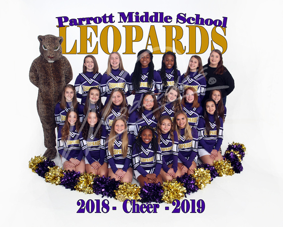 Cheer with Leopard8x10