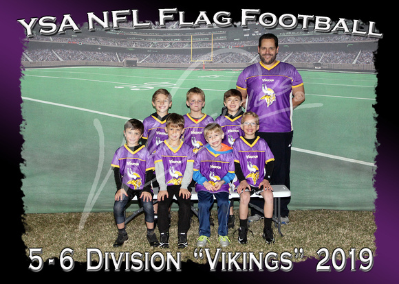 106- 5 - 6  Division Vikings