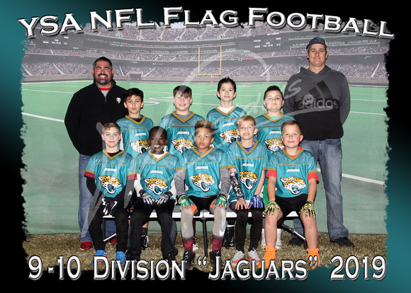120- 9 -10  Division Jaguars
