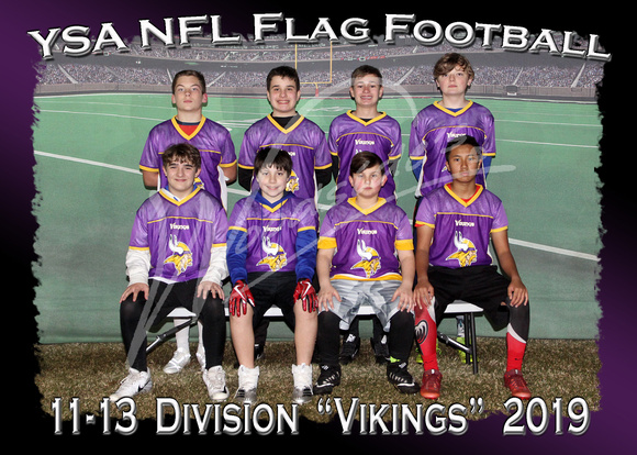 138- 11 -13  Division Vikings
