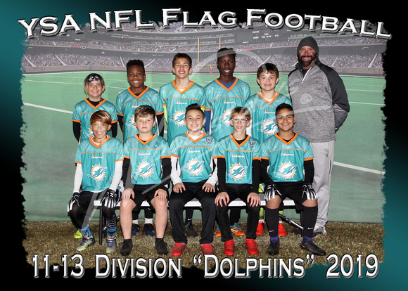 142- 11-13  Division Dolphins
