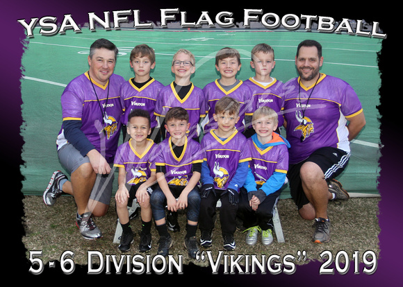 106- 5 - 6 Division Vikings 2