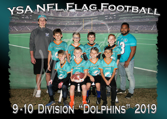 123- 9 -10  Division Dolphins