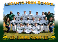 Lecanto HS Baseball 2014-2015