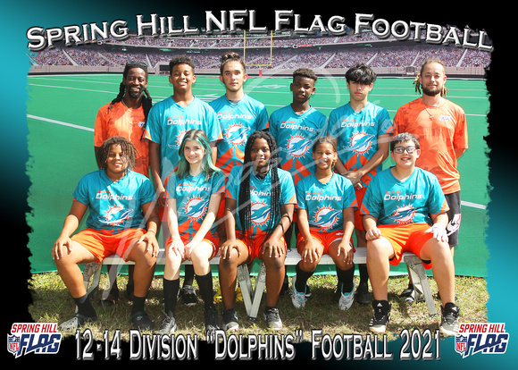 122- 12-14 Dolphins