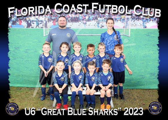 102- U6 Great Blue Sharks