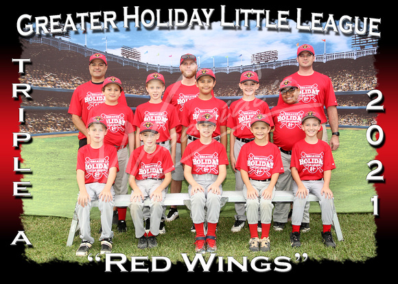122- AAA Red Wings