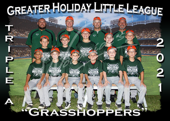128- AAA Grasshoppers